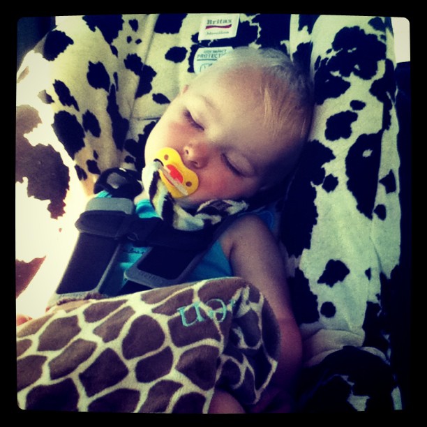 Having a nap on the way to the lake