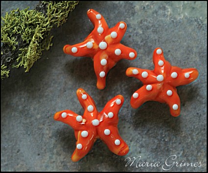 Lampwork Starfish