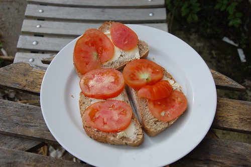 tomato breakfast