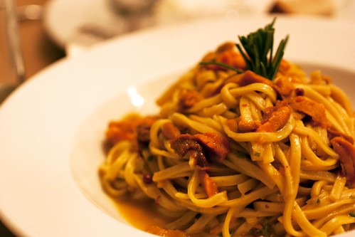 sea urchin pasta @ red bicycle