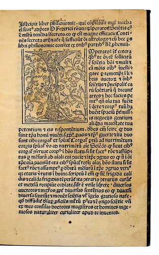 Woodcut initial in Michael Scotus: Liber physiognomiae