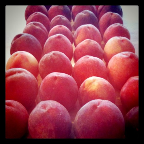 Kentucky peaches from Hinton's Orchard.