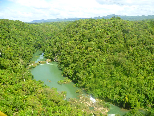 Loboc River view from the top
