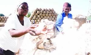 Zimbabwe cotton farmers earned from this year's yield according to a recent article in the state newspaper The Herald. The land redistribution program in this Southern African state has provided farms to people dispossessed by colonialism. by Pan-African News Wire File Photos