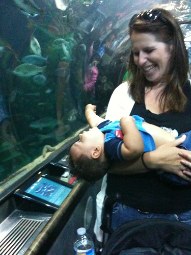 jessica and damian at the aquarium of the bay