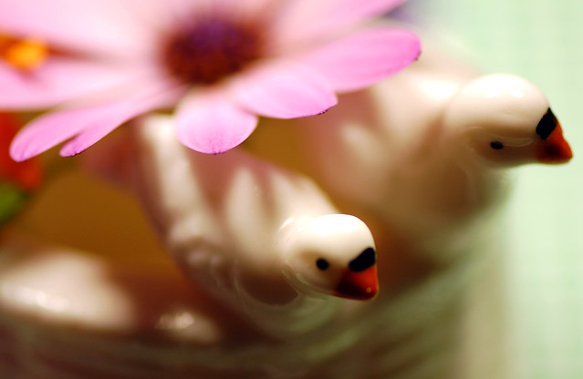 Vogel Porzellan Porzellanvögelchen Blumen