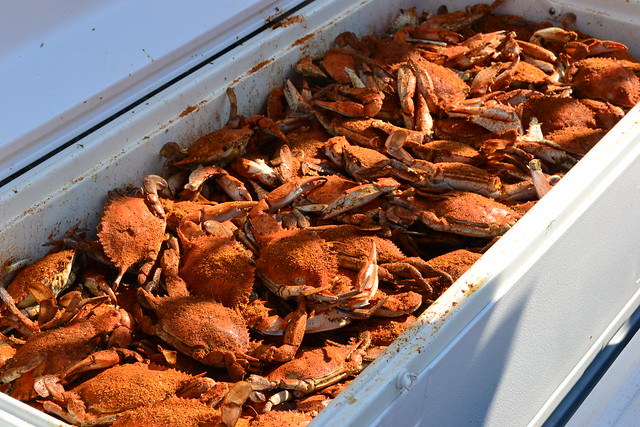 SOJ Crabs