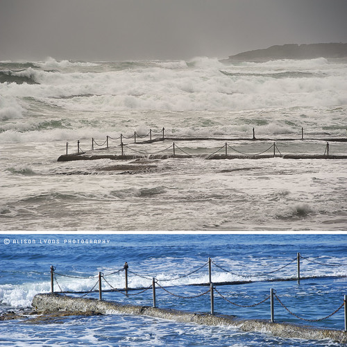 What a difference a week makes by alison lyons photography