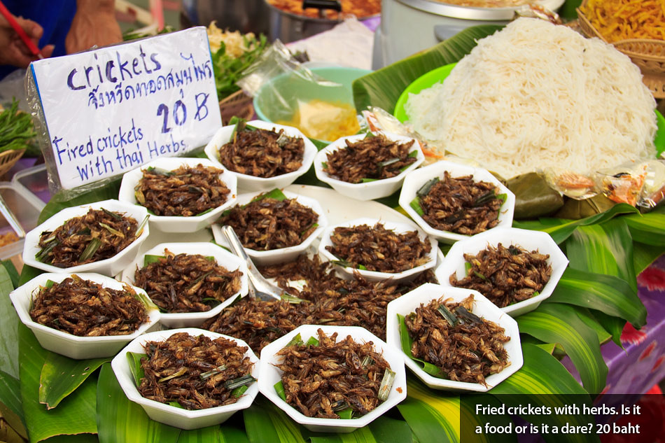 Travel Photos: Street Food in Chiang Mai, Thailand