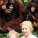 Tirando foto c/ orangotangos
