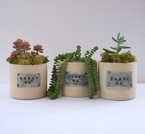 water me & plant me containers by littlebrickhouse