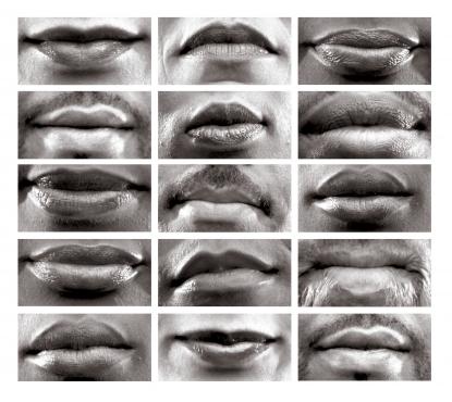 15 Mouths, Lorna Simpson, Permanent Collection - 2002, Studio Museum Harlem