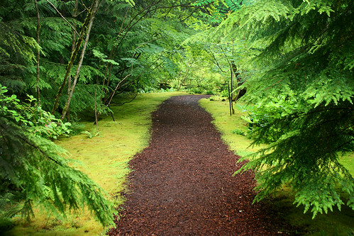 moss garden path