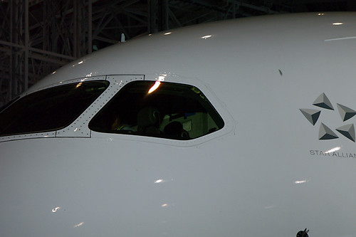 ANA Boeing787-8 IMGP4433