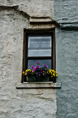 Window Box