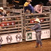 Getting ready to open the chutes at the Cedar Park Rodeo