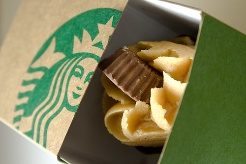 Starbucks Peanut Butter Mini Cupcake