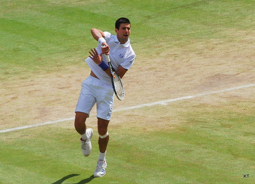 Jo Wilfried Tsonga - Djokovic overhead