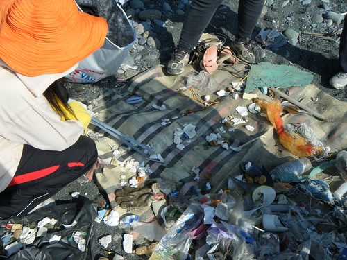 面對礫石灘上零零碎碎的各式塑膠廢棄物，志工們耐著酷熱像柯南般拼湊出廢棄物的原貌