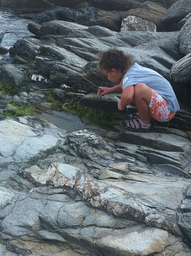 Searching the tide pools