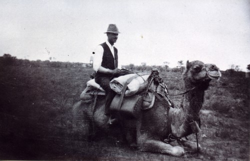 1921  C.M. Hambidge on camel at the southern S.A.W.A. survey camp - KHS-2011-15-20-P2-D