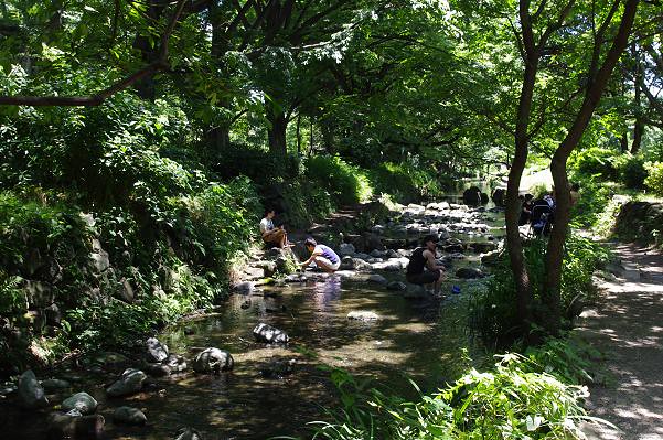 井の頭公園駅 井の頭池へ続く神田川では、...