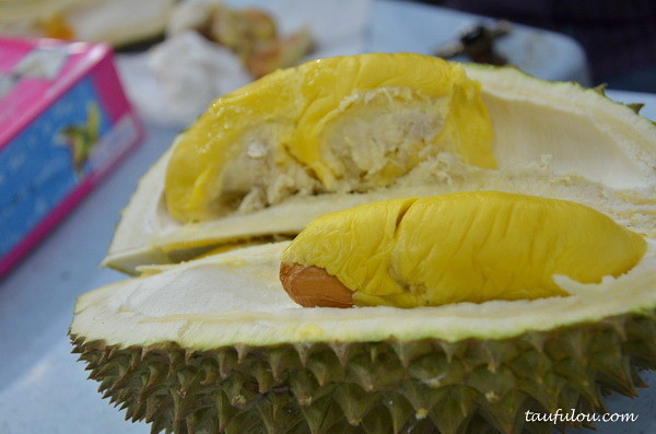 durian part 2 (4)