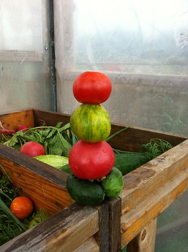 stack of tomatoes and cukes by sunnysidedru