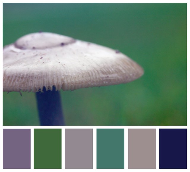 Mushroom Palette