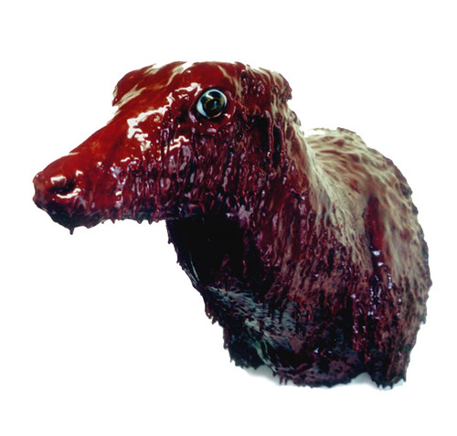 Sore, 2003, Angela Singer--a cow head covered in a red, bloodlike substance