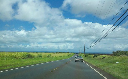 hawaiian countryside