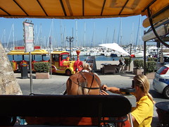 Day 6 09 Horse drawn tour Alghero