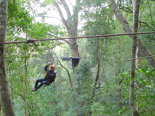 Canopy Tour in the Tsitsikamma Forest by barbourians