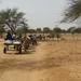 Charretes cruzando o Sahel