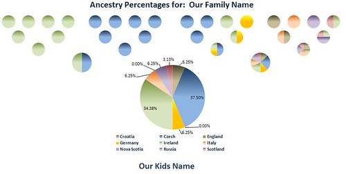 Ancestry Pie: Charts