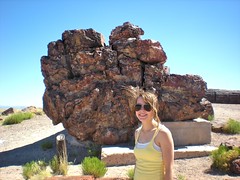 Rachel at the Petrified Forest