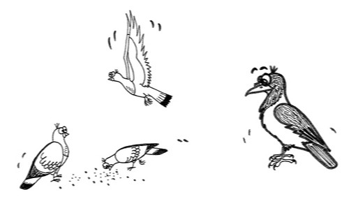 Comic-Whippet-Tauben-und-Krähe