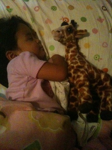 good night, giraffe