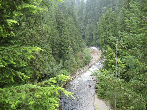 View from Capilano