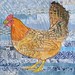 sicilian buttercup hen