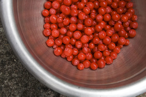 bowl o' huckleberries