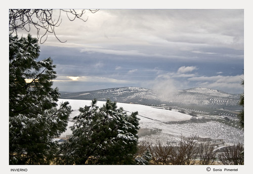  invierno,fotografía,Aguilar,nieve 