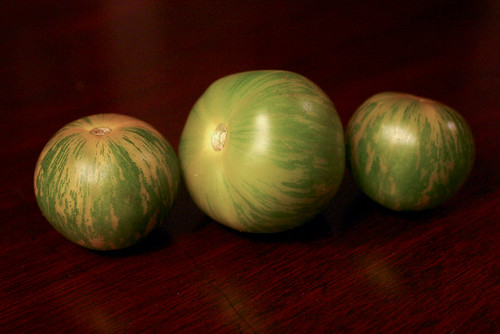 Heirloom tomato from our CSA