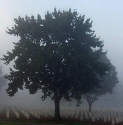 Cemetery Fog