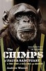 chimps of fauna sanctuary