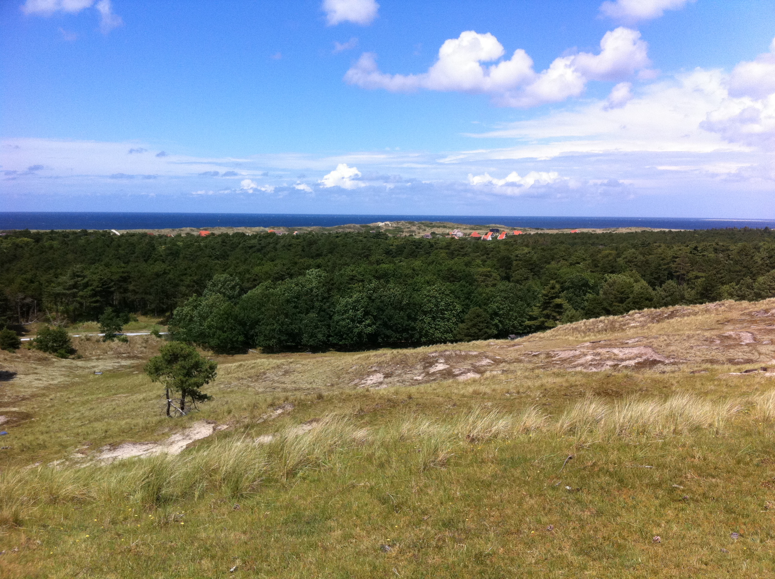 View to the north of Vlieland