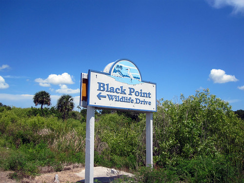 Black Point Wildlife Drive Sign