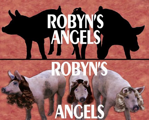 robyns angels montage