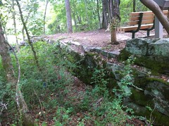  Evans Mill Rock Wall 