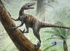 PaleoMundo - Dinosaurios que vuelan (9)